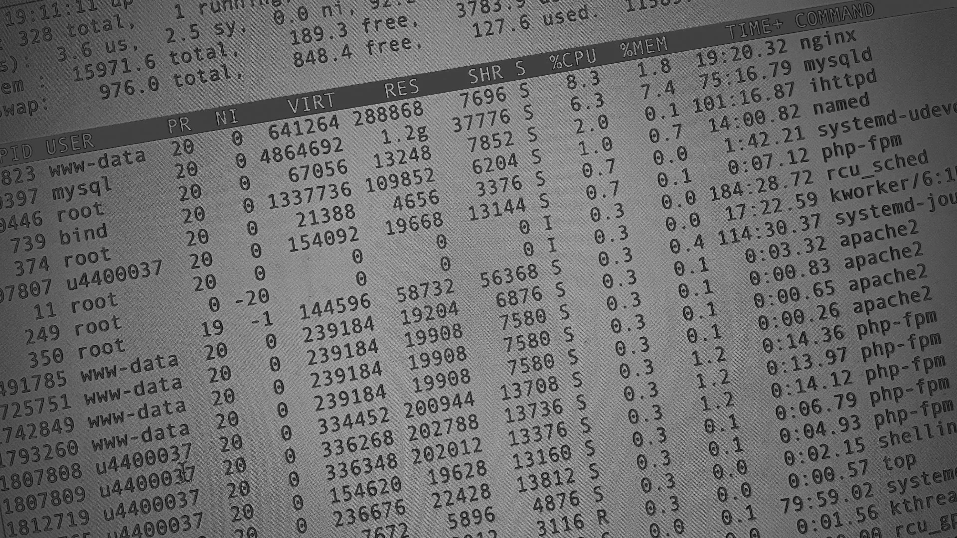 Настройка сервера в Осе