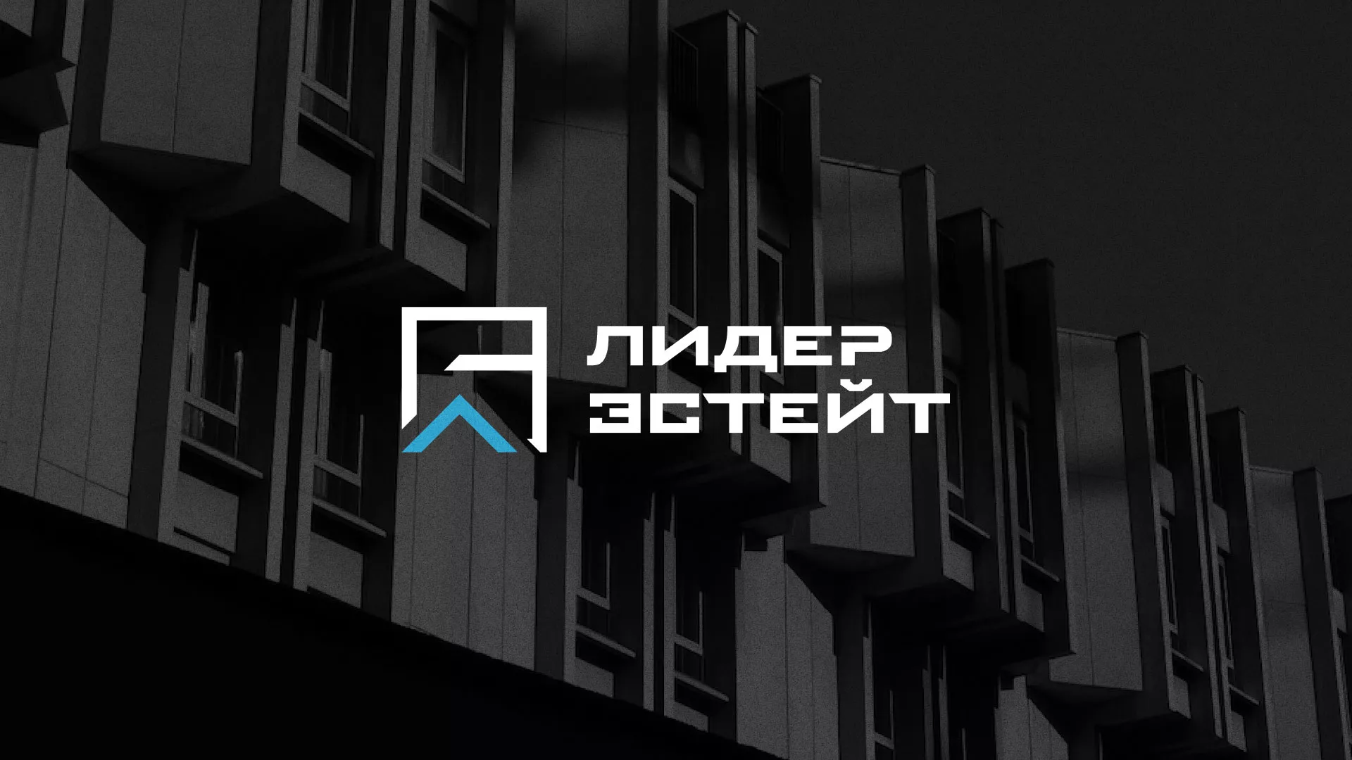 Разработка логотипа агентства недвижимости «Лидер Эстейт» в Осе